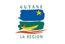 [Guyane Regional Council Flag]