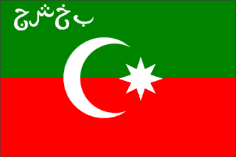 [Flag of Bukharian PSR in 1920]