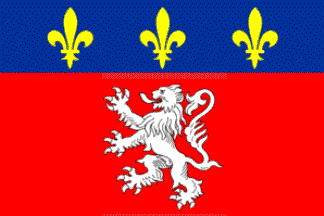 Lyon municipal banner of arms
