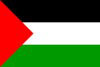 [Flag of the Kingdom of Hejaz 1920-1926]