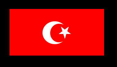 [Sanusiya
                          (Sensussi) Order flag]