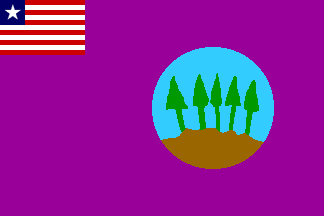 Bomi county (Liberia)