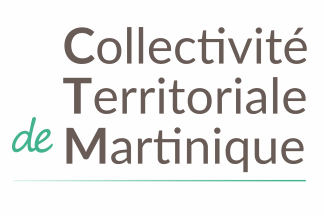 [Martinique collectivit
                                  territoriale provisional flag
                                  2015-2016 (France)]