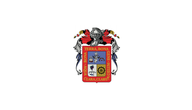 [Aguascalientes unofficial
                white flag (Mexico)]