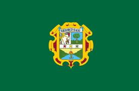 [Madre de Dios Region flag (Peru)]
