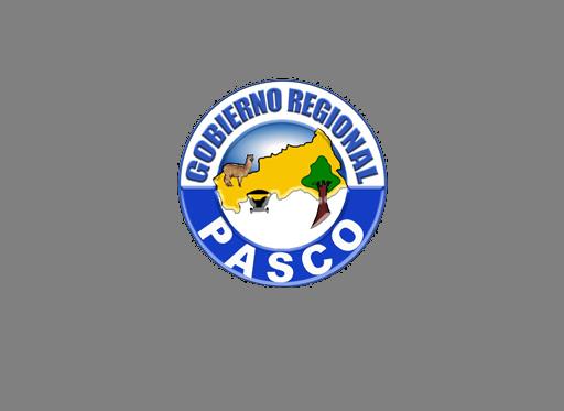[possible Pasco Region (Peru) flag to 2010]