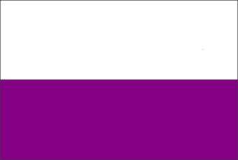 [Duchy of Warsaw (Poland) flag 1807-1815]