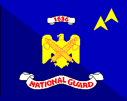 [National Guard Bureau flag]