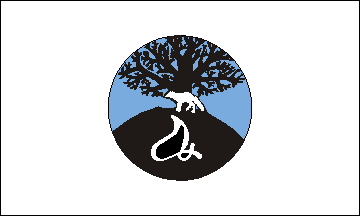 [Mashantucket Pequot flag (Connecticut)]