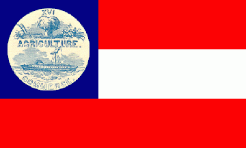 [Tennessee secession flag
                                  proposal 1861]