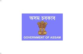 [Assam state government
                flag (India)]