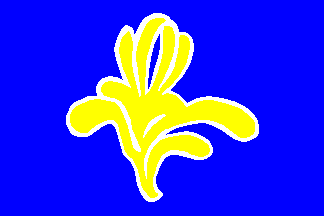 [Region of
                      Brussels-Capital old flag (Belgium) 1991-2015]