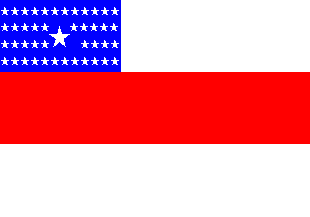 [Flag of
                            Amazonas (Brazil) 1970-1982]
