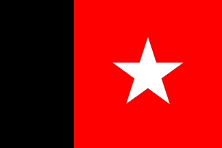 [Second Flag of
                              "Independent Guiana," (Counani)
                              1887-1900]