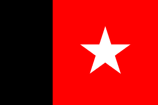 [Second Flag of
                              "Independent Guiana," (Counani)
                              1887-1900]