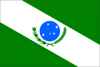 [Flag of
                            Paraná, 1990-2002 (Brazil)]