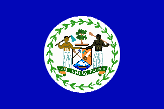 [Pre-independence unofficial flag of
                            Belize, 1950-1981]