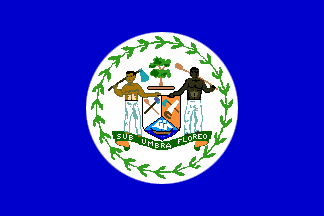 [Belize
                            Pre-independence unofficial flag,
                            1950-1981]