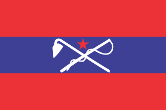 [Inner Mongolia
                          Autonomous Federation flag 1945-1947 (China)]
