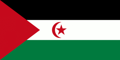 [Flag of
                                    Sahrawi Arab Democratic Republic
                                    (Western Sahara)]