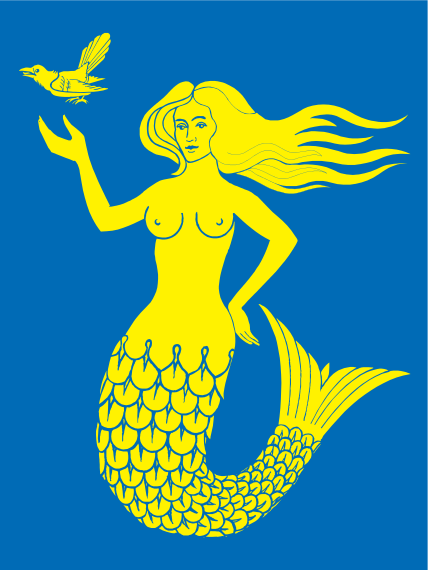 [flag of Pijt-Hme
                region (Finland)]