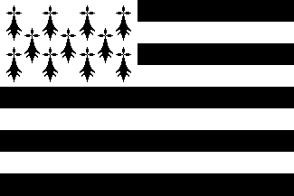 [Region
                          Bretagne flag gwenn-ha-du (France)]