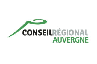 [Auvergne Regional Council flag
                          2005-2015 (France)]