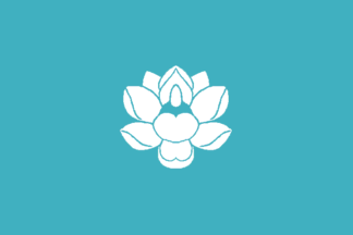 [Sinuiju Special
                        Administrative Region proposed flag (North
                        Korea)]