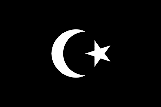 [Sanusiya
                          (Senussi) Order flag, Cyrenaica (Libya)
                          c.1843-1929]