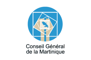 [Martinique General Council
                                    flag to 2015 (France)]
