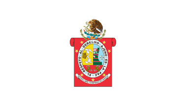 [Oaxaca unofficial white flag (Mexico)]