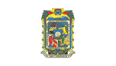 [Puebla unofficial white flag (Mexico)]