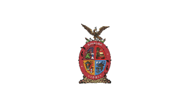 [Sinaloa unofficial white flag (Mexico)]