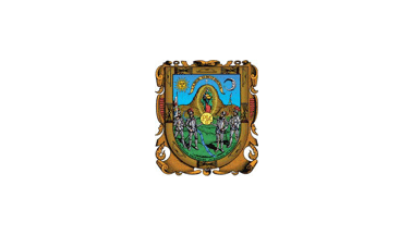 [Zacatecas unofficial
                        white flag (Mexico)]