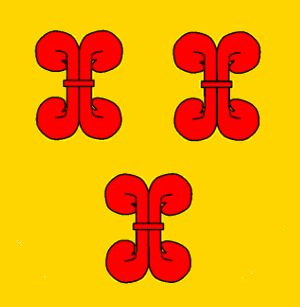 [County of
                        Culemborg flag c.1753-1795 (Netherlands)]