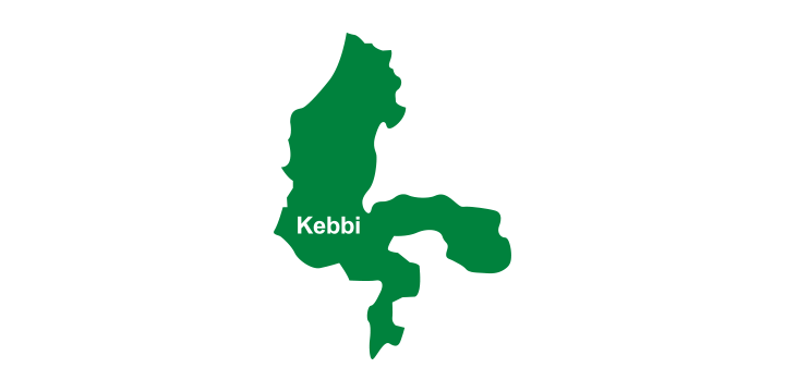 [Kebbi state flag
                  (Nigeria)]