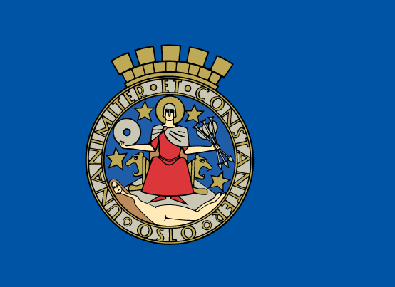 [Flag of Oslo
                          County (Norway)]