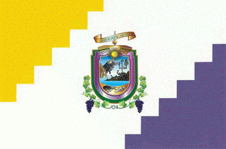 [Ica Region flag (Peru)]