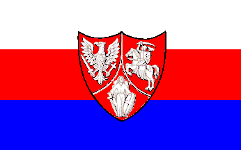 [alternate Ensign used in
                                    Polish revolt of 1863-1865]
