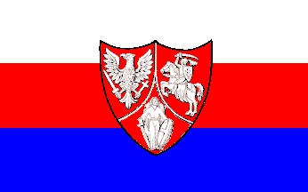 [alternate Ensign used in
                                    Polish revolt of 1863-1865]