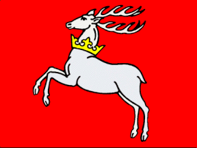 [Lubelskie
                          Voivodship ceremonial flag (Poland)]