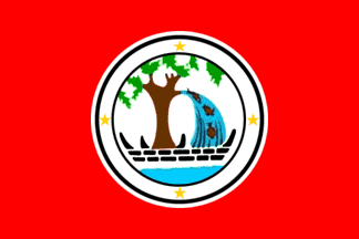 [Ngiwal State Flag (Palau)]