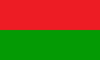 [Tobolsk federation
                      (one of several flags) 1921 (Siberia, Russia)]