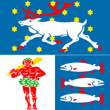 [Flag of County of Västerbotten (Sweden)]