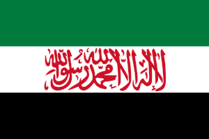 [Syrian
                            Salvation Government flag from 2018
                            (Syria)]