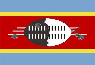 [Eswatini
                                  flag 2011-2024 (Swaziland)]