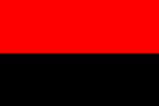 [Organization of Ukrainian
                Nationalists (OUNR) and Ukrainian Insurgent Army flag
                1942-1954 (Ukraine)]