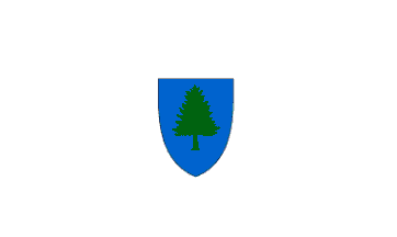 [Obverse of Commonwealth of
                                  Massachusetts flag 1915-1971 (U.S.)]