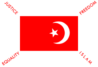[Nation of Islam
                        first flag]