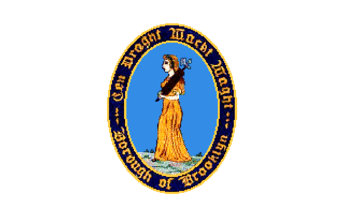 [Flag of
                          Brooklyn Borough (New York City, U.S.)]